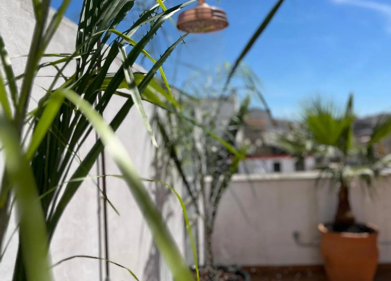 La Terraza De Porvenir 10 - Jerez De La Frontera Apartment